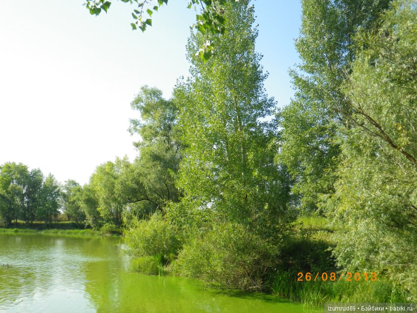 Родная природа. Волго-Ахтубинская пойма. Часть 3