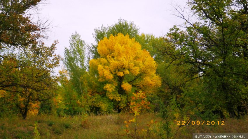 Родная природа. Волго-Ахтубинская пойма. Часть 3 (фото 4)