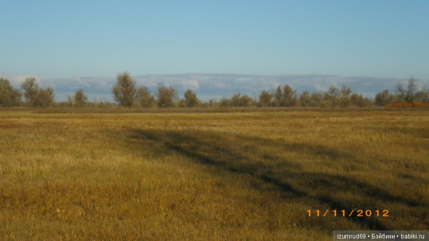 Родная природа. Волго-Ахтубинская пойма. Часть 3 (фото 6)