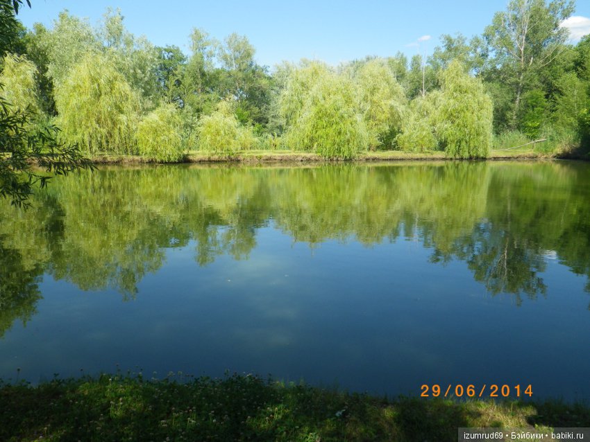 Родная природа. Волго-Ахтубинская пойма. Часть 3