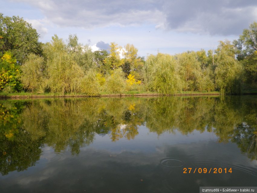 Родная природа. Волго-Ахтубинская пойма. Часть 3