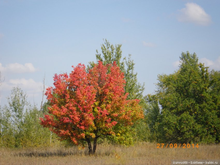 Родная природа. Волго-Ахтубинская пойма. Часть 3