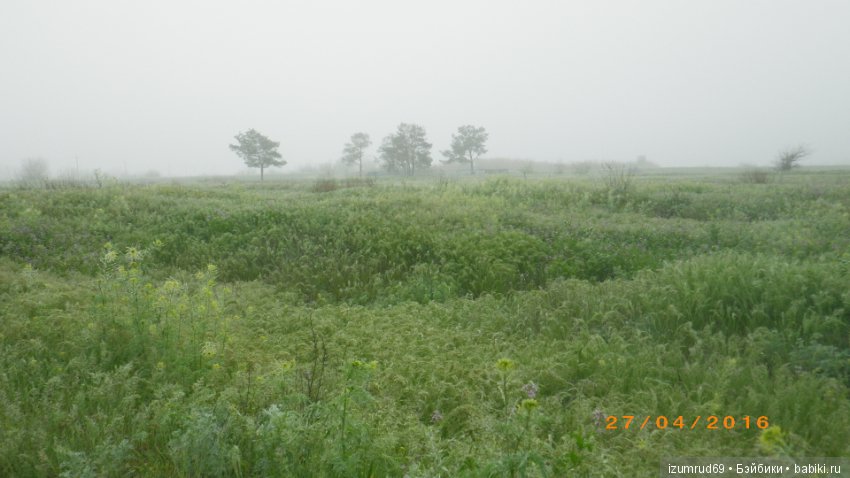 Родная природа. Волго-Ахтубинская пойма. Часть 3