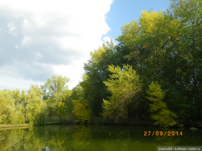 Родная природа. Волго-Ахтубинская пойма. Часть 3