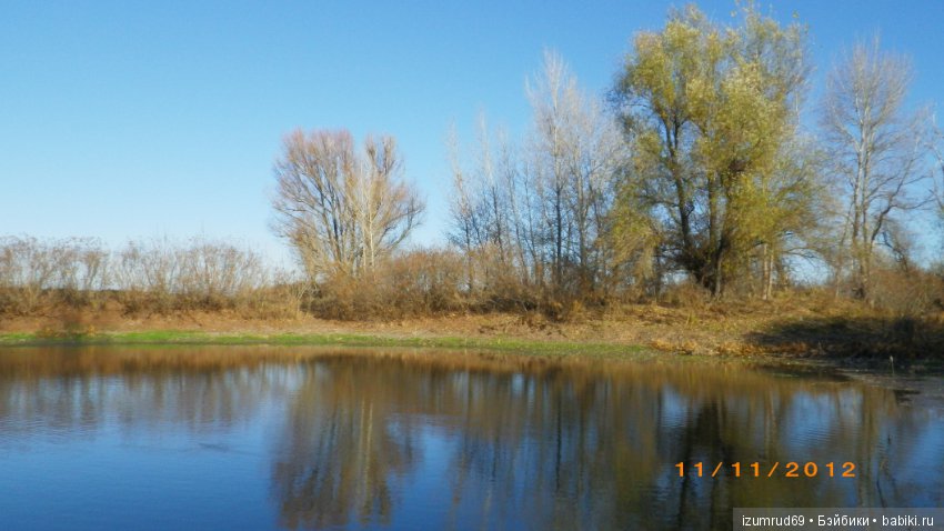 Родная природа. Волго-Ахтубинская пойма. Часть 3 (фото 7)