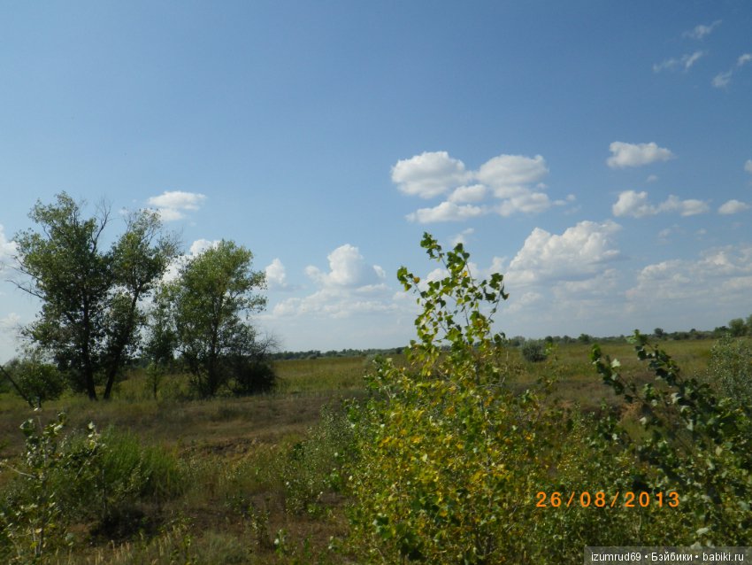 Родная природа. Волго-Ахтубинская пойма. Часть 3 (фото 10)