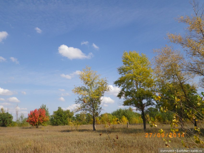 Родная природа. Волго-Ахтубинская пойма. Часть 3