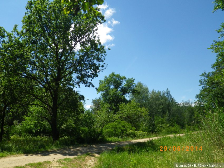 Родная природа. Волго-Ахтубинская пойма. Часть 3