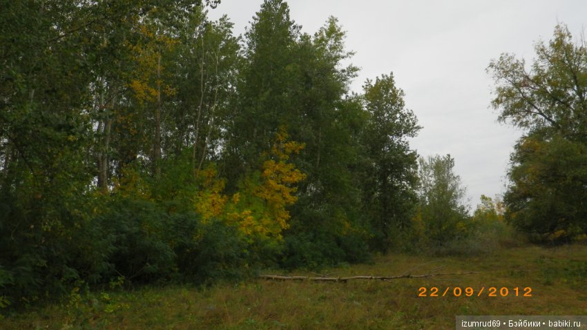 Родная природа. Волго-Ахтубинская пойма. Часть 3 (фото 3)