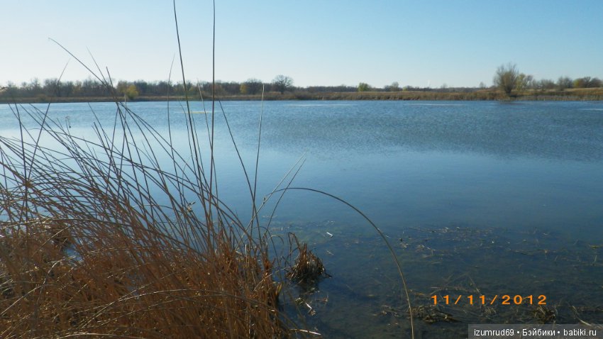 Родная природа. Волго-Ахтубинская пойма. Часть 3 (фото 9)