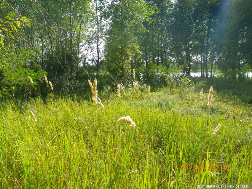 Родная природа. Волго-Ахтубинская пойма. Часть 3