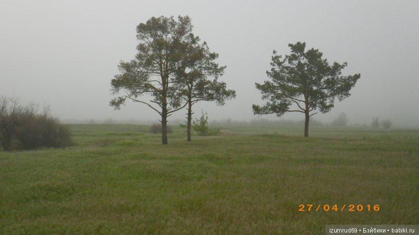 Родная природа. Волго-Ахтубинская пойма. Часть 3