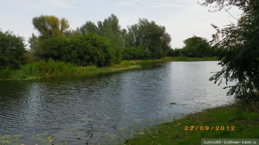 Родная природа. Волго-Ахтубинская пойма. Часть 3 (фото 2)