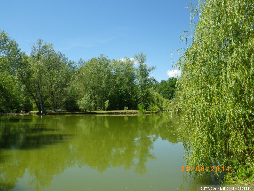 Родная природа. Волго-Ахтубинская пойма. Часть 3