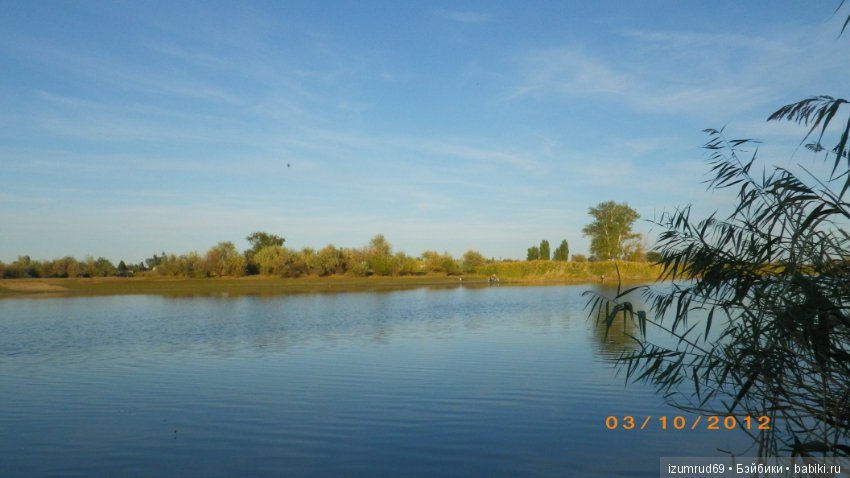 Родная природа. Волго-Ахтубинская пойма. Часть 3 (фото 5)