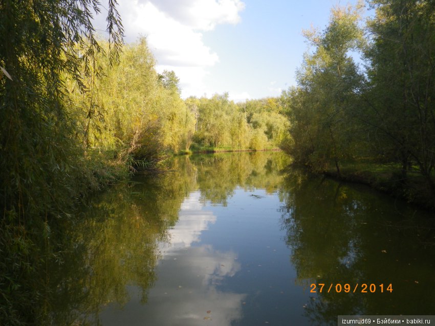 Родная природа. Волго-Ахтубинская пойма. Часть 3