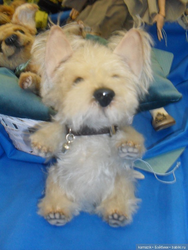 Тишинка. Фотинг зыринга. Салон кукол 2016. Часть 4