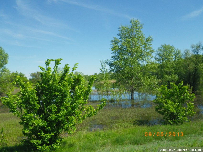 Родная природа. Волго-Ахтубинская пойма. Часть 4 (фото 5)