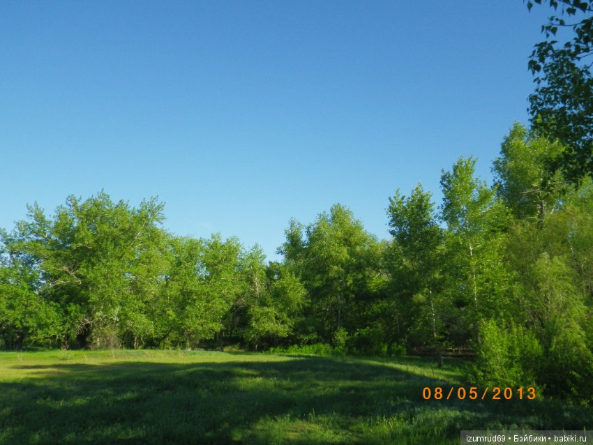 Родная природа. Волго-Ахтубинская пойма. Часть 4