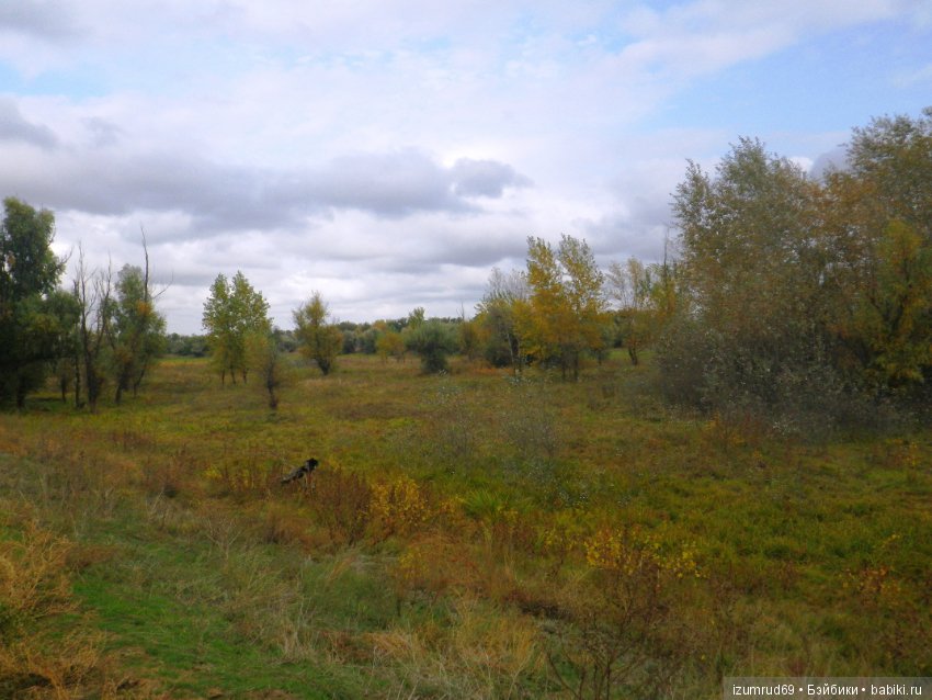 Родная природа. Волго-Ахтубинская пойма. Часть 4