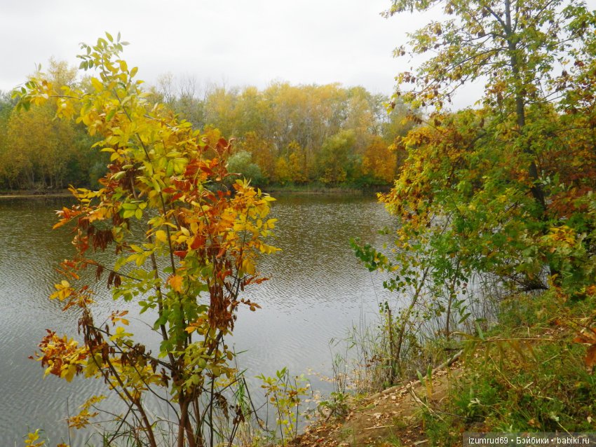 Родная природа. Волго-Ахтубинская пойма. Часть 4