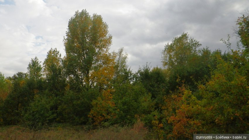 Родная природа. Волго-Ахтубинская пойма. Часть 4