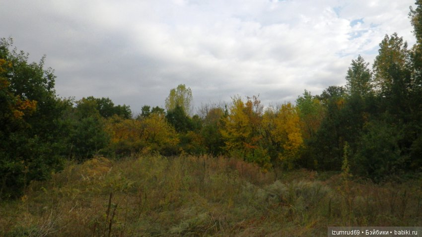 Родная природа. Волго-Ахтубинская пойма. Часть 4