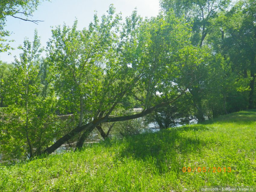 Родная природа. Волго-Ахтубинская пойма. Часть 4 (фото 10)