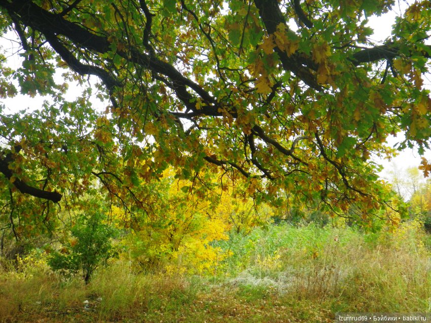 Родная природа. Волго-Ахтубинская пойма. Часть 4