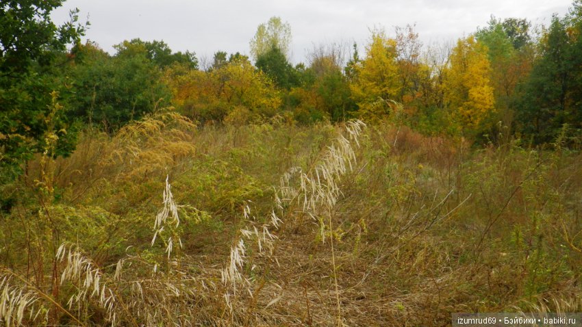 Родная природа. Волго-Ахтубинская пойма. Часть 4
