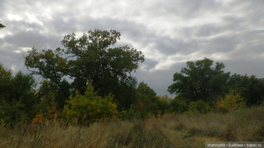 Родная природа. Волго-Ахтубинская пойма. Часть 4