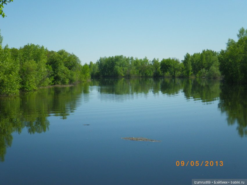 Родная природа. Волго-Ахтубинская пойма. Часть 4 (фото 6)