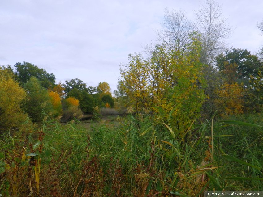 Родная природа. Волго-Ахтубинская пойма. Часть 4