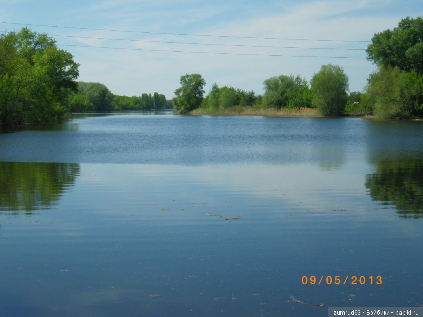 Родная природа. Волго-Ахтубинская пойма. Часть 4 (фото 3)