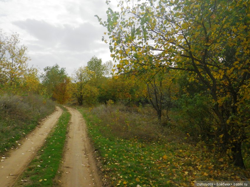 Родная природа. Волго-Ахтубинская пойма. Часть 4