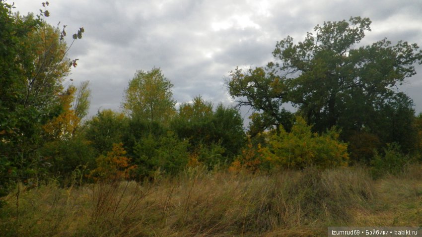 Родная природа. Волго-Ахтубинская пойма. Часть 4