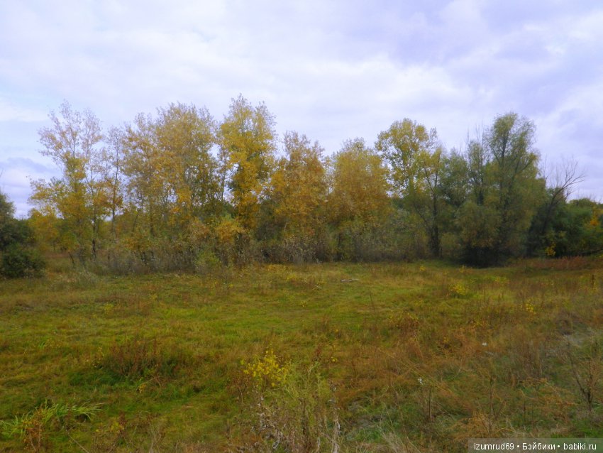 Родная природа. Волго-Ахтубинская пойма. Часть 4