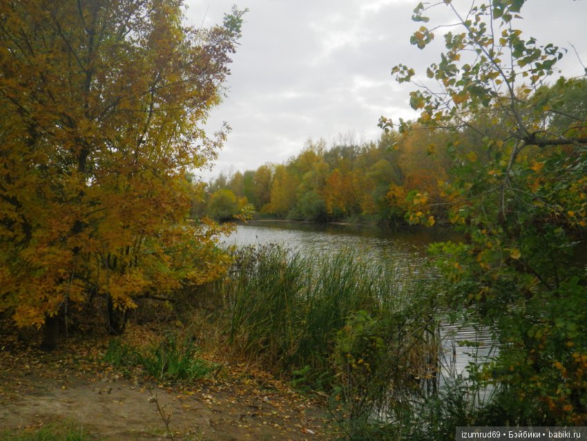 Родная природа. Волго-Ахтубинская пойма. Часть 4