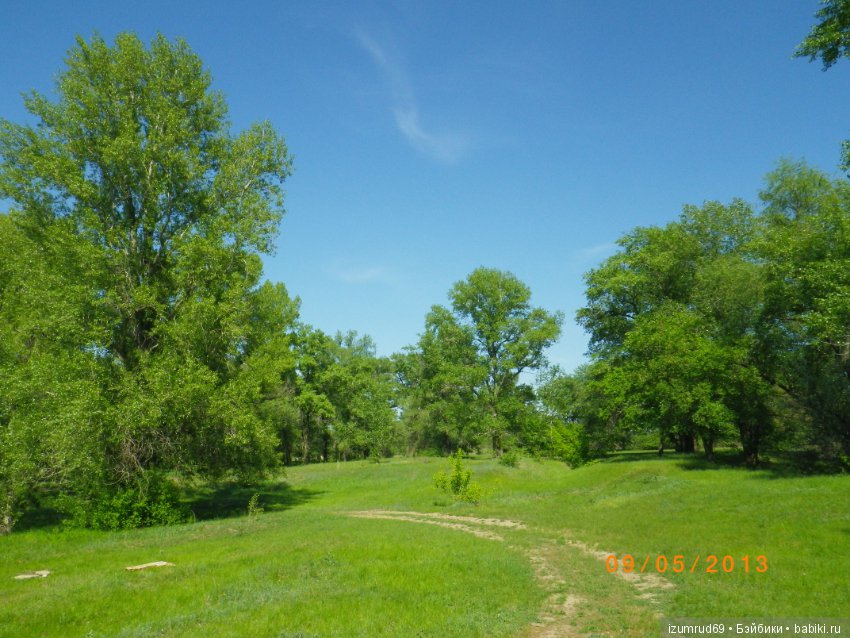 Родная природа. Волго-Ахтубинская пойма. Часть 4 (фото 9)