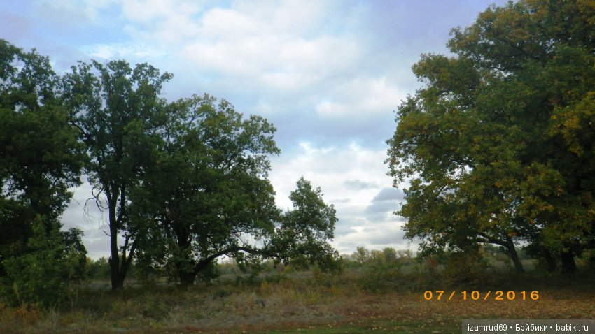 Родная природа. Волго-Ахтубинская пойма. Часть 4