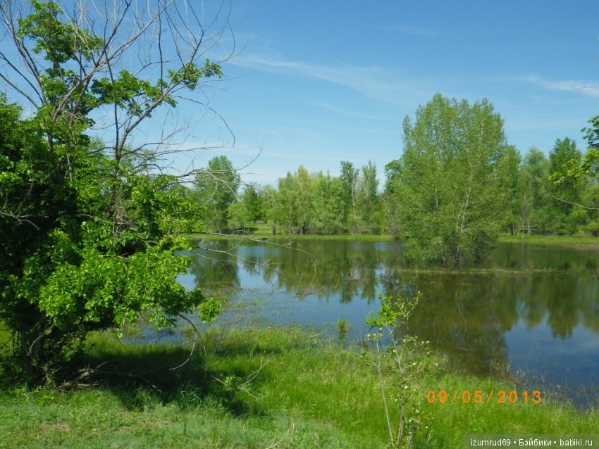 Родная природа. Волго-Ахтубинская пойма. Часть 4 (фото 4)