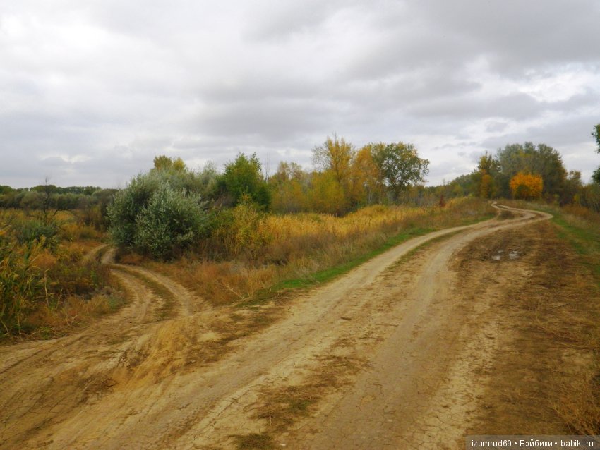 Родная природа. Волго-Ахтубинская пойма. Часть 4