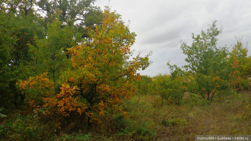 Родная природа. Волго-Ахтубинская пойма. Часть 4