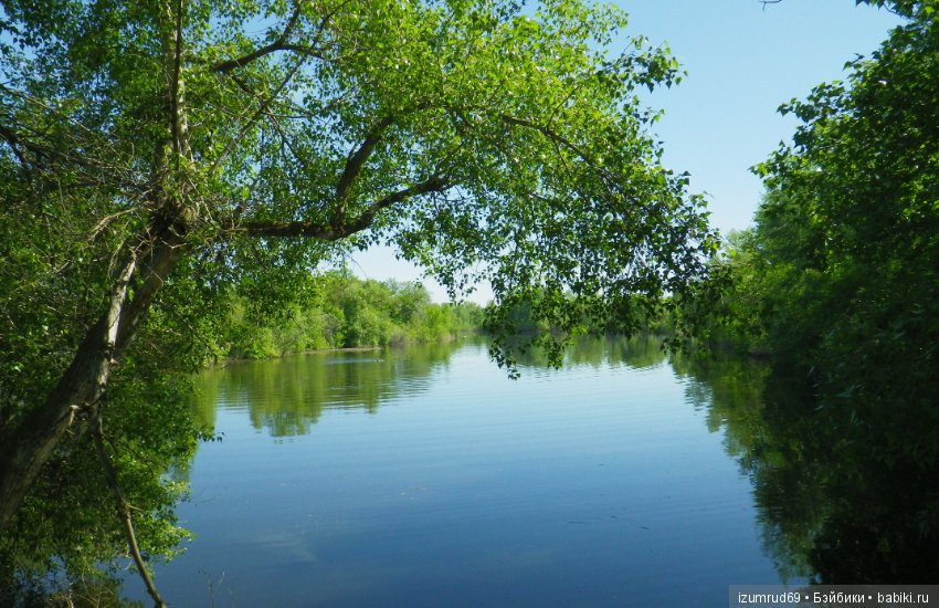 Родная природа. Волго-Ахтубинская пойма. Часть 4 (фото 7)