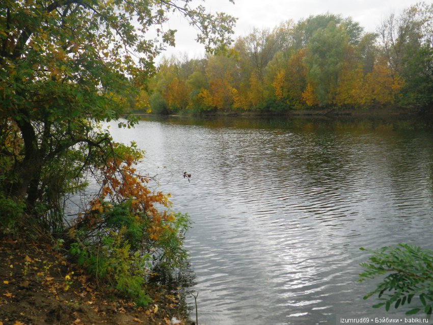 Родная природа. Волго-Ахтубинская пойма. Часть 4