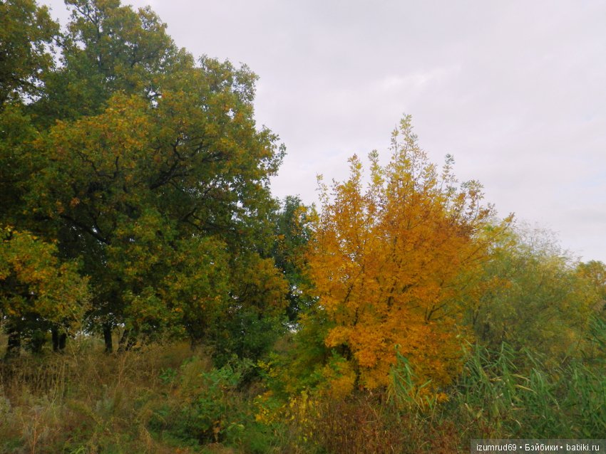 Родная природа. Волго-Ахтубинская пойма. Часть 4