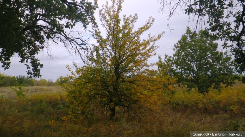 Родная природа. Волго-Ахтубинская пойма. Часть 4