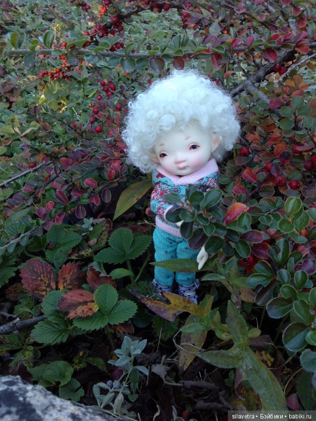 Эпизоды Крымской осени. irrealdoll