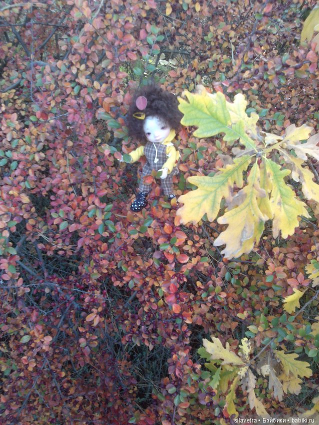 Эпизоды Крымской осени. irrealdoll (фото 6)