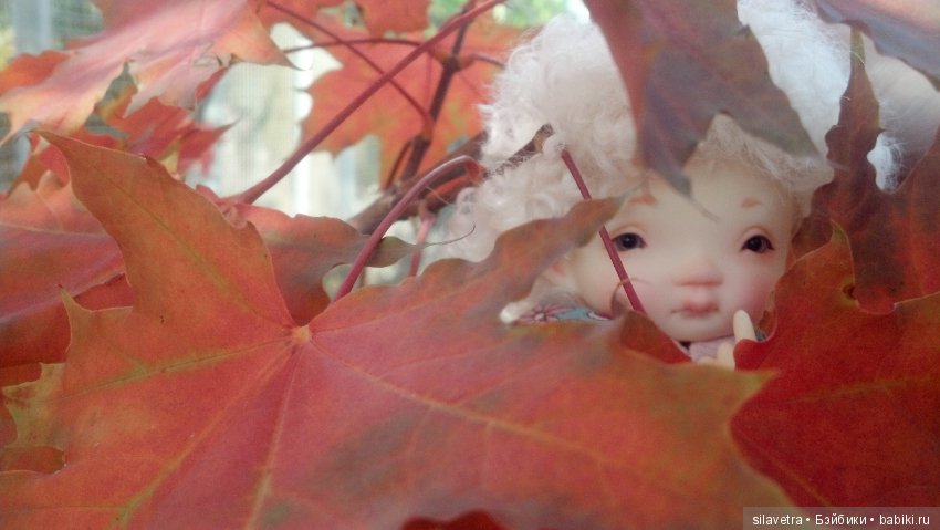 Эпизоды Крымской осени. irrealdoll (фото 8)